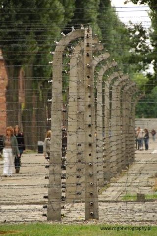 Auschwitz 11